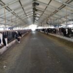 В г. Шалкаре Шалкарского района министр побывал в сервисно-заготовительном центре ТОО «ТАЛАП СДО», специализирующемся на убое и переработке мясной продукции