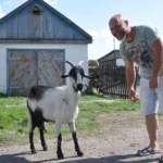 “Здесь я – дома“. Гражданин Германии переехал в умирающее село на севере Казахстана